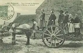 Une charretée de Bigoudens.