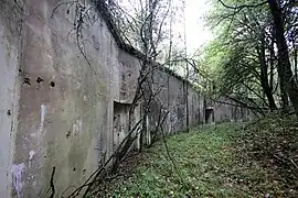 Une sortie d'infanterie près de la capitale du fort.