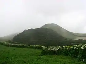 Vue du cône volcanique de l'éruption de 1808