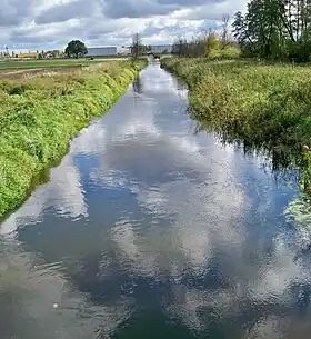 Wawrzyszew