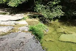 la Vézéronce près de la Cascade du Pain de sucre de Surjoux à Surjoux-Lhopital