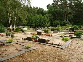 Võiste