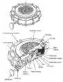 VS-MK2.