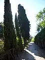 Allée le long des murs
