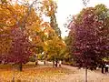 Parc de Vaksali.