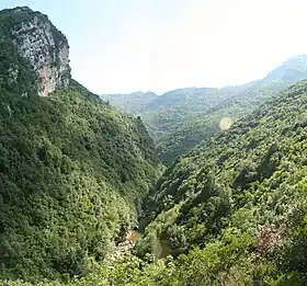 Photographie de la vallée du Calore Lucano près de Felitto