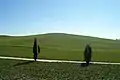 Paysage rural typique