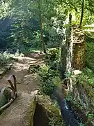 Photographie du chemin de randonnée suivant un bras mineur de la Durolle.