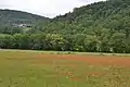 Vallée du ruisseau de Senesse-de-Senabugue