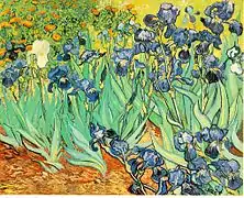 Iris, 1889, huile sur toile, 71&nbsp;×&nbsp;93&nbsp;cm, Los Angeles, J. Paul Getty Museum (F608/JH1691).