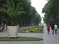 Une allée dans le Jardin maritime