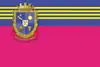 Drapeau de Raïon de Vassylivka