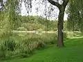 L'étang.