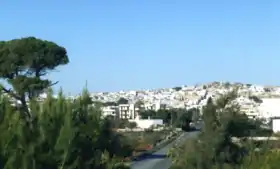 Carovigno
