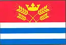 Drapeau de Vejvanovice
