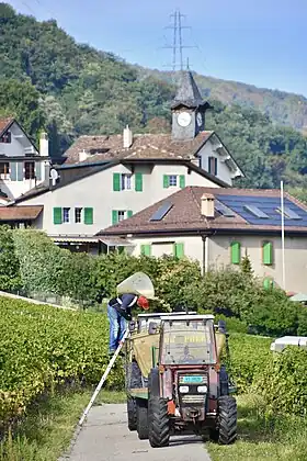 Vinzel