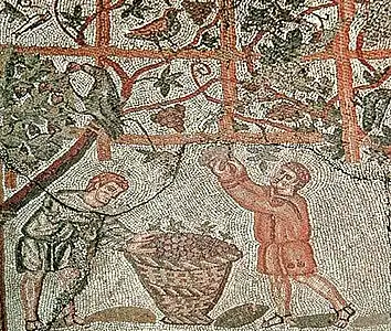 partie supérieure : des treilles lourdes de raisins et des oiseaux ; partie inférieure : deux hommes cueillent des raisins et les mettent dans une grosse corbeille