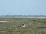 Panorama de la lagune.