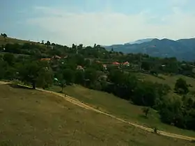 Veseniće