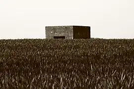 Blockhaus de la guerre 39-45 au milieu d'un champ