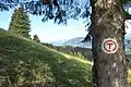 Balisage du sentier de la randonnée de longue distance Via Transilvanica