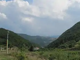 Gnila