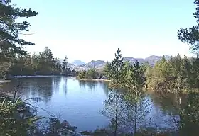 Image illustrative de l’article Forêt de Gwydir