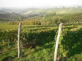 Coazzolo