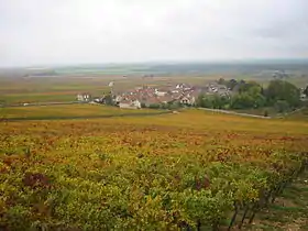 Morey-saint-denis (AOC)