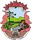 Blason de Vila Flores