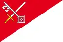 Drapeau de Vilémov