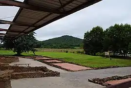 Site.