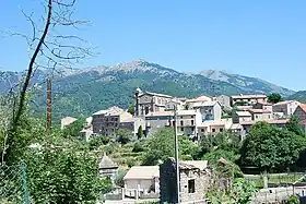 Cozzano
