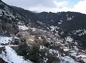 Cargiaca.