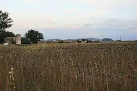 Villaseca de Arciel