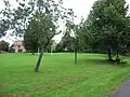 Parc vert central, dit  " Le Pâquis "