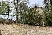 Le château et son colombier.