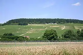 Image illustrative de l’article Vignoble de Chablis