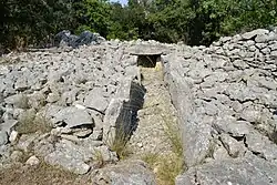 Image illustrative de l’article Dolmen de la Draille