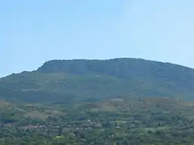 Pasjača (Pantelej)