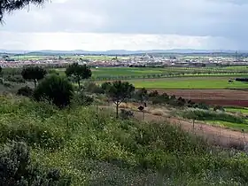 Miguelturra