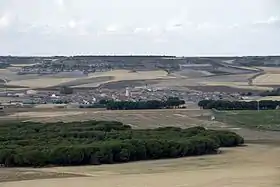 Bercero