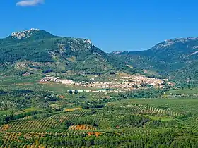 Orcera