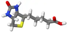 Image illustrative de l’article Vitamine B8