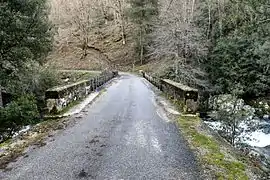 Pont de Mulinello (4)