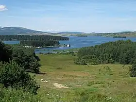 Vlasina Okruglica