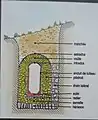 vocabulaire sur l'aqueduc