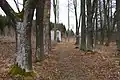 Aux alentours de Volary