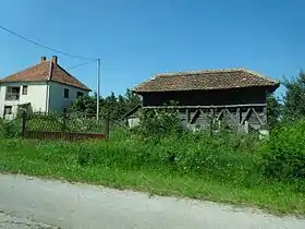 Vračević