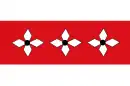 Drapeau de Vries